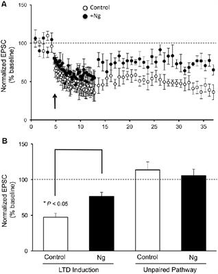 Neurogranin Regulates Metaplasticity